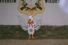 pic006