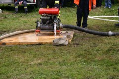 pic024
