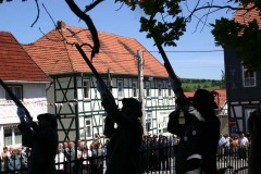 pic069