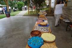 pic019