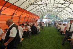 pic035