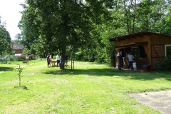pic017