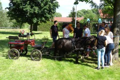 pic026